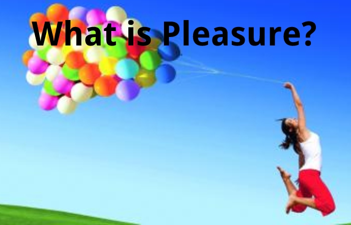 What is Pleasure?
