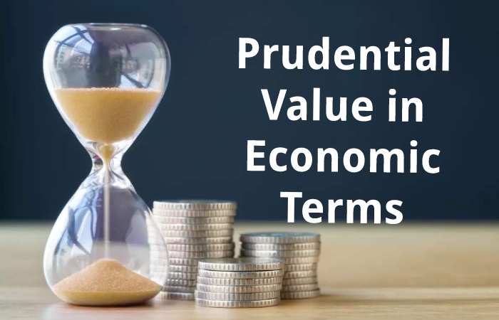 Prudential Value in Economic Terms