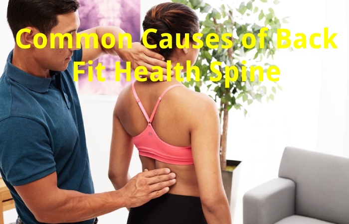 Common Causes of Back Fit Health Spine